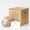 image:imageWillow Tree My New Baby Blush Lots to Learn to Love to Grow Together Celebrates Shows Caring Relationship Between Older Sibling and Younger Siblings Sculpted HandPainted Figure